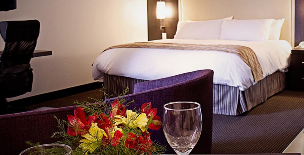 Queen Suite Kitchenette